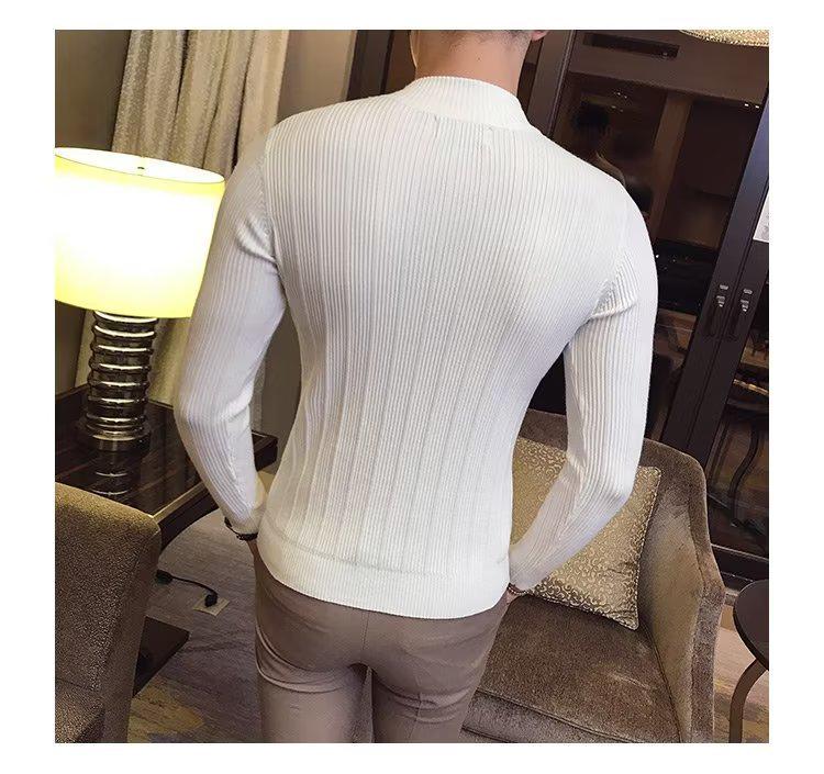 2026 Men's Striped Slim-Fit Knitwear: Autumn/Winter Long-Sleeved Half-High Neck Base Layer