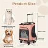 Productos para mascotas – Transportines para mascotas