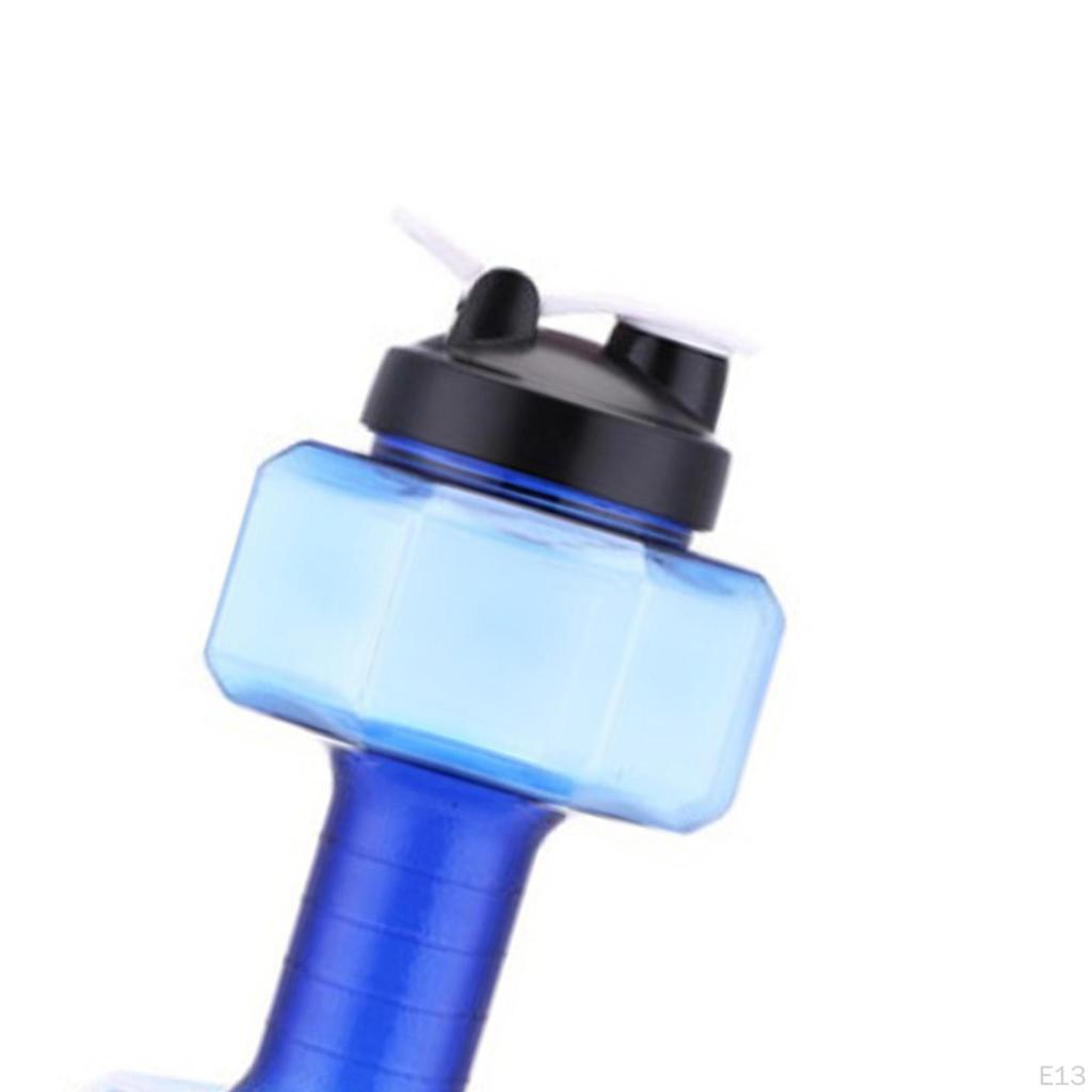 Companion for Fitness Enthusiasts