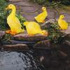 4 Pieces Funny Duck Statues Fairy Figurines, Decor Sculptures for Pond Backyard Outdoor Indoor
