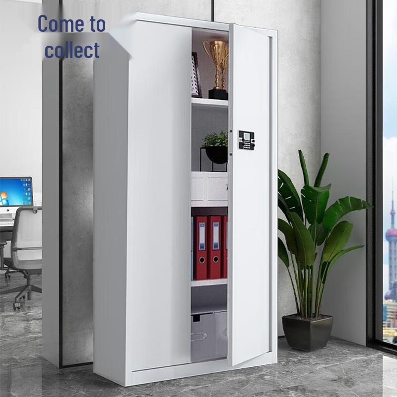 Laicai Secure Filing Cabinets & Safes
