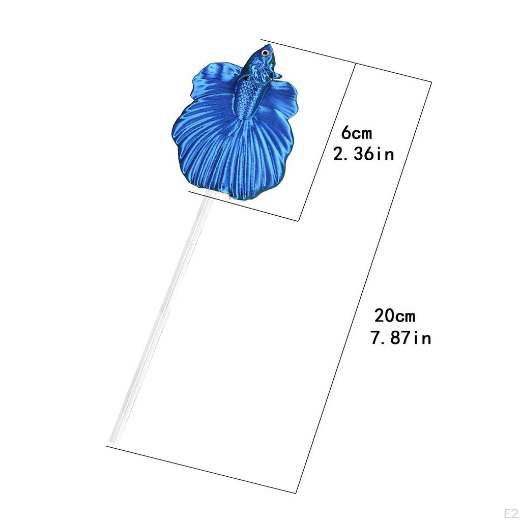 Kampffische zum Trainieren, Ideal für Anfänger. Tragbar, , Und Dekorieren von Aquarien.