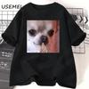 Chihuahua Pondering Funny Meme T Shirt Wounisex Unisex Funny Cat Grpahic T Shirts Summer Short Sleeve Cats Lovers T-Shirt  Tops