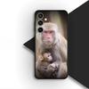 Casing Phone Cover for Samsung Galaxy S25 S24 S23 FE Ultra Plus S7 Edge S25+ S23+ A56 5G Case  Monkey Gorilla Ape Baby Animal