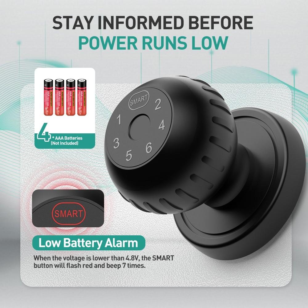 D2 Smart Fingerprint Door Lock Bluetooth APP Control Auto Lock Home & Office Anti Theft Security Electronic Lock