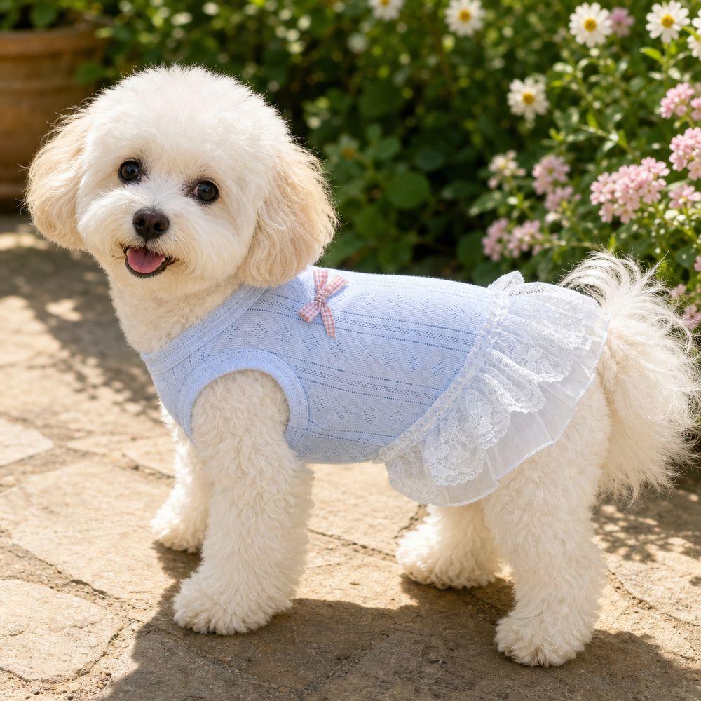 Comfortable Breathable Puppy Dress Lightweight Dog Vest New Pet Dog Dress  Dogs and Cats