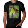 Cicada Emerging From Its Shell Tshirt All Match Basic Short Sleeve Top
