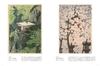 Kawase Hasui and the Artists of Shinhanga: In Search of Past Landscapes (314;314) (Bessatsu Taiyo)