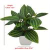 Umelé rastliny Bonsai Malý strom Simulovaný aloe Strom Črepníkové rastliny Falošné kvety Kancelársky stôl Črepníkové ozdoby Dekorácia do domácej záhrady