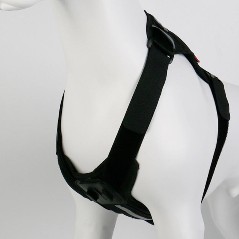 Soft Padded Pet Harness Compatible for Sports Cameras Recording from Your Dog's Perspective with Accessories