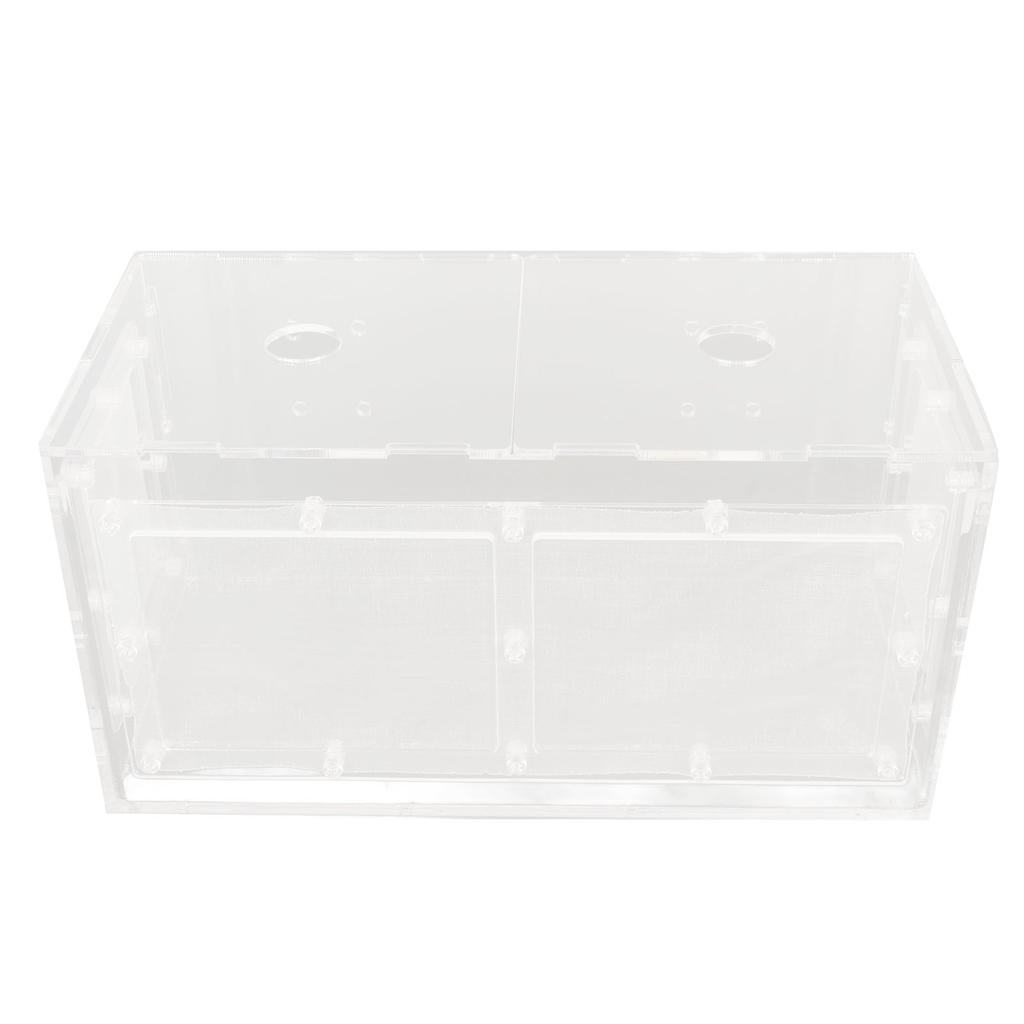 Fischzucht Isolierbox Transparente Netzseite Fischtank Inkubator für Aquarium Kleine Fische