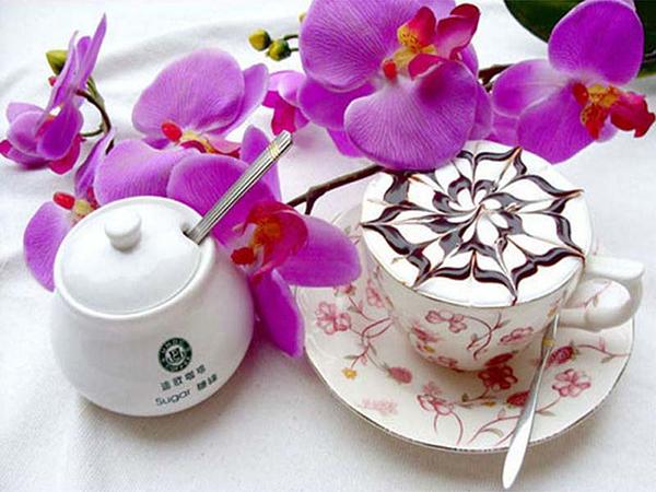 5D DIY Diamond Painting Orchid Rhinestone Pictures Full Round Diamond Embroidery Flower Crafts Kit Home Decor