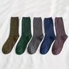 Set Women's Fashion Sexy Shiny Socks Korean Style Gold Silver Silk Candy-Coloredsocks Luxury Design High Quality