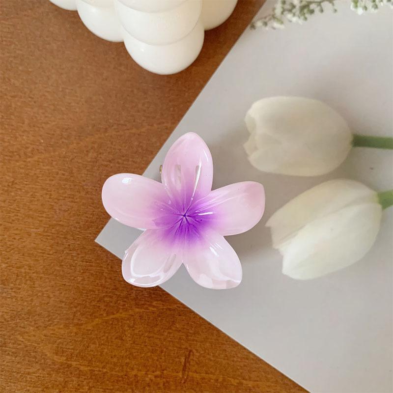 6 Stück Hawaiianische Farbverlauf-Haarspangen Blumen-Haarkrallen Damen-Haarschmuck Kleine Größe Kopfschmuck Haarnadel Krabben-Haarklammer