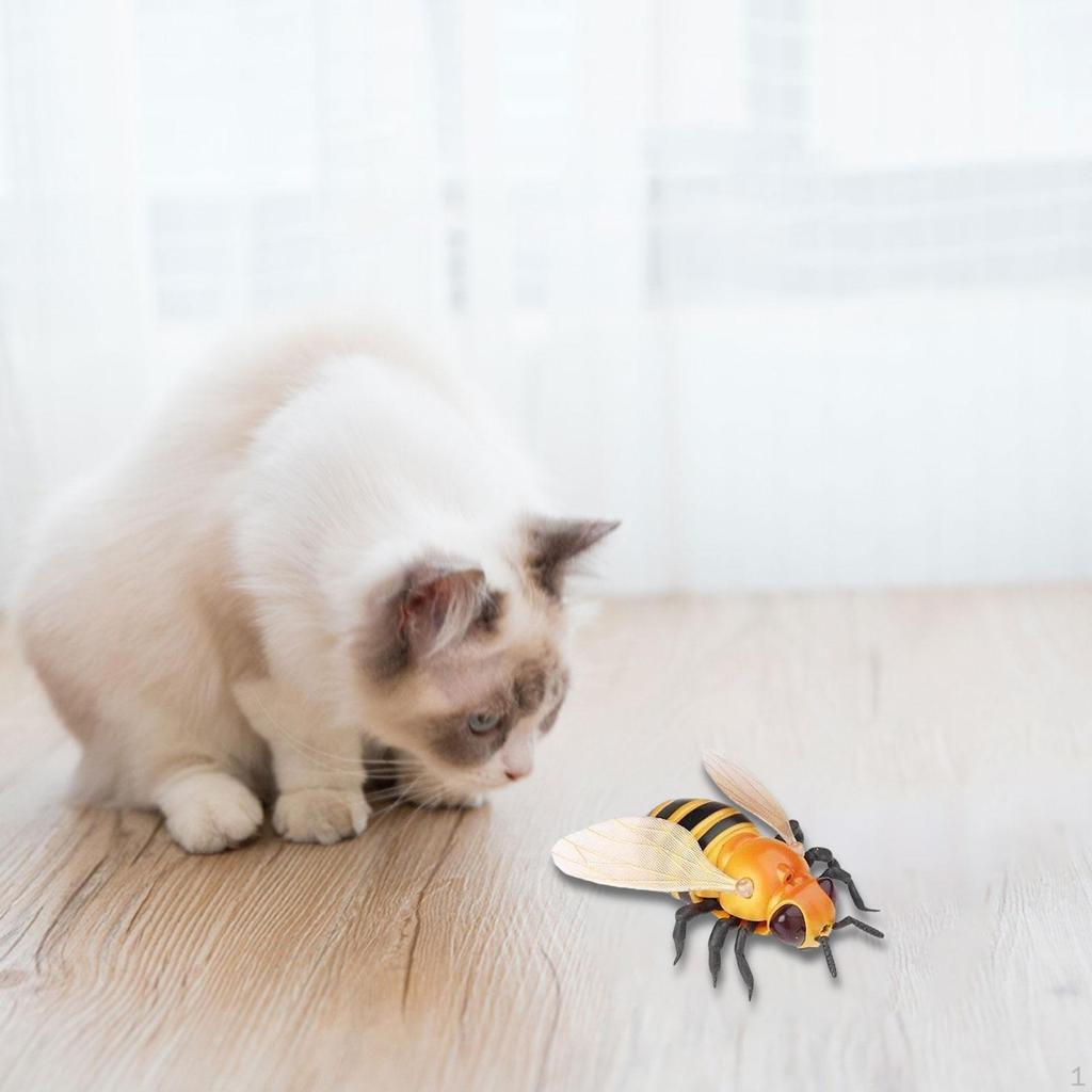 RC Tier Spielzeug Zubehör Geschenke Vielseitiges Zubehör Spiele Katze Ärgern Streich für Halloween
