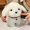 Cartoon Puppy Dog Plush Toys Stuffed Animal Doll for Girls Cute Ragdoll Bag Ornament Room Decor