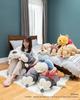 Livheart Body Pillow Disney Mochi Hug Chip Large Length Fluffy and Squishy (Total Approx. 67cm) 50010-08