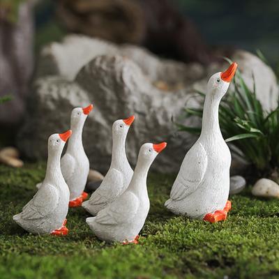 Decoración para el hogar
– Terrarios decorativos