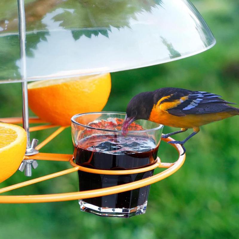 Bird Feeder Clear Protective Dome Anti-squirrel Rain-proof Hanging Hummingbird Rain Cover Guard