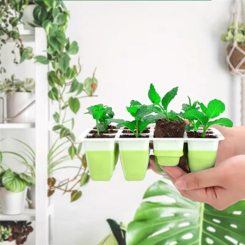 M-Modern-Seedling Startertrays Silicone Houseplant Growing Trays Set Of 5 Reusable Houseplant Sprouting Containers For Flower