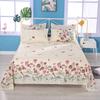 Printed Simple Bed Sheet Dormitory Pure Washed Cotton Single Double Bed Skin-friendly Comfortable Bed Sheet