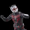 Hasbro Marvel Legends Series Ant-Man, Ant-Man and the Wasp: Quantumania 6-inch (15cm) Action Figure, Ages 4 and Up, F6573, Authentic