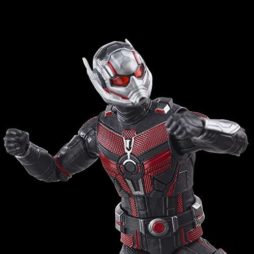 Hasbro Marvel Legends Series Ant-Man, Ant-Man and the Wasp: Quantumania 6-inch (15cm) Action Figure, Ages 4 and Up, F6573, Authentic