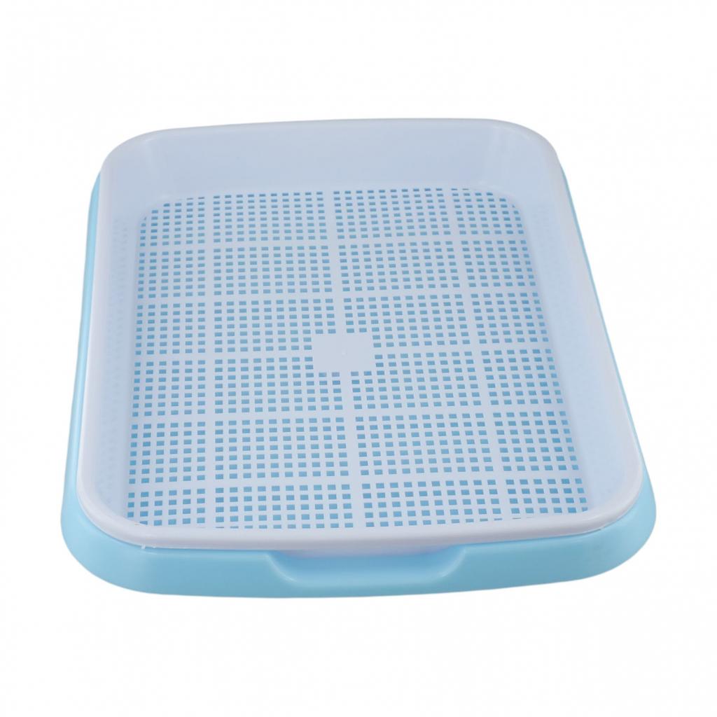 Tablett Leicht zu reinigen Keimschale Getreidekeimung