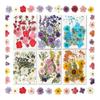 Dried Flowers for Resin 103 Natural Flowers DIY Pressed Flowers Material Vacuum Pack Suitable for Beauty Handmade Flower Materials Accessory