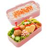 Skater Antibacterial Soft Serving Bento Made In PFLW4AG Ag+ Two-Tier Box, 600ml, Nekotto, Colorful, Japan,
