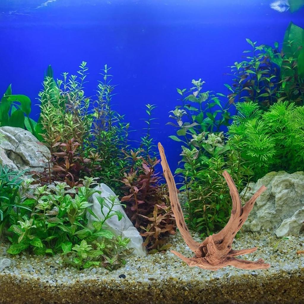 Mipcase 3 Stück Treibholz für Aquarium, Spinnenholz für Aquarium Aquarium Dekorationen Fischbecken Dekorationen Treibholz für Reptilienbecken Dekor