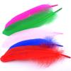 50pcs Natural Goose Feathers 15-20cm, Pure Soft DIY Craft Feathers for Home Decor, Balloons, Jewelry & Fashion Embellishment