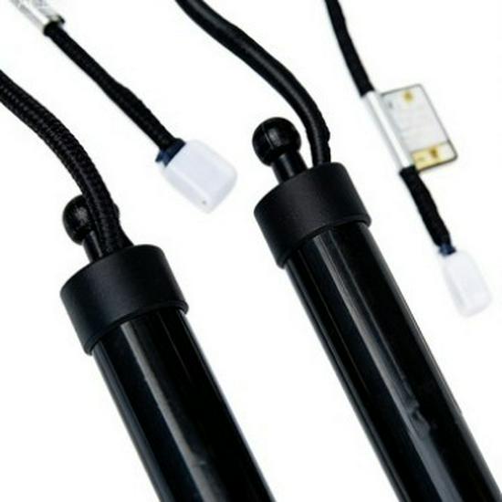 Premium Tailgate Struts for Toyota Corolla Models 68910-16010 and 68920-16010