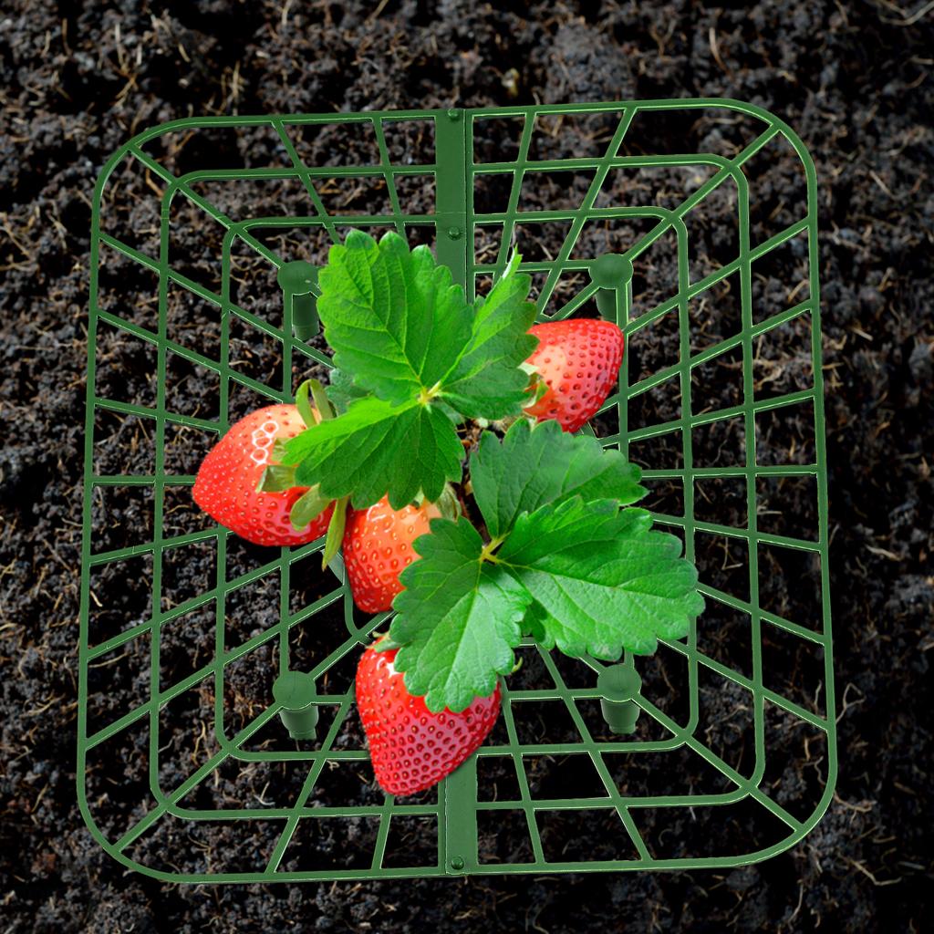 Square Strawberry Support with 4 Legs Strawberry Growing Rack for Pots Backyard Garden Plant Maintenance