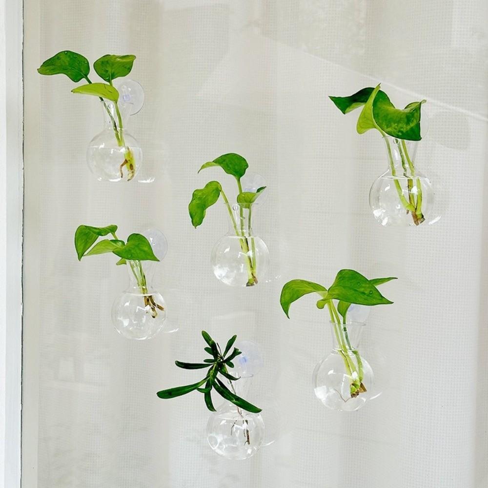 4pcs/set with Suction Cups Wall Mounted Vase Transparent Hanging Fish Tank Office Decor
