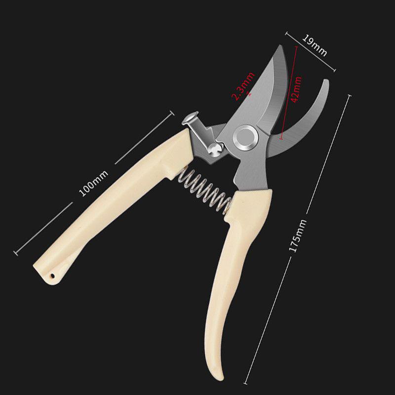 Durable Professional Pruning Shears for Branches, Flowers, and Fruits
