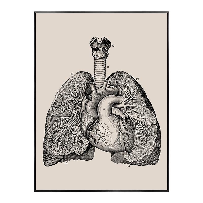 

Скелет человеческого тела, анатомический плакат, органы, художественное произведение, декоративные картины, холст, настенное искусство, клиническая эстетика, декор медицинской комнаты 21x30cm No Framed