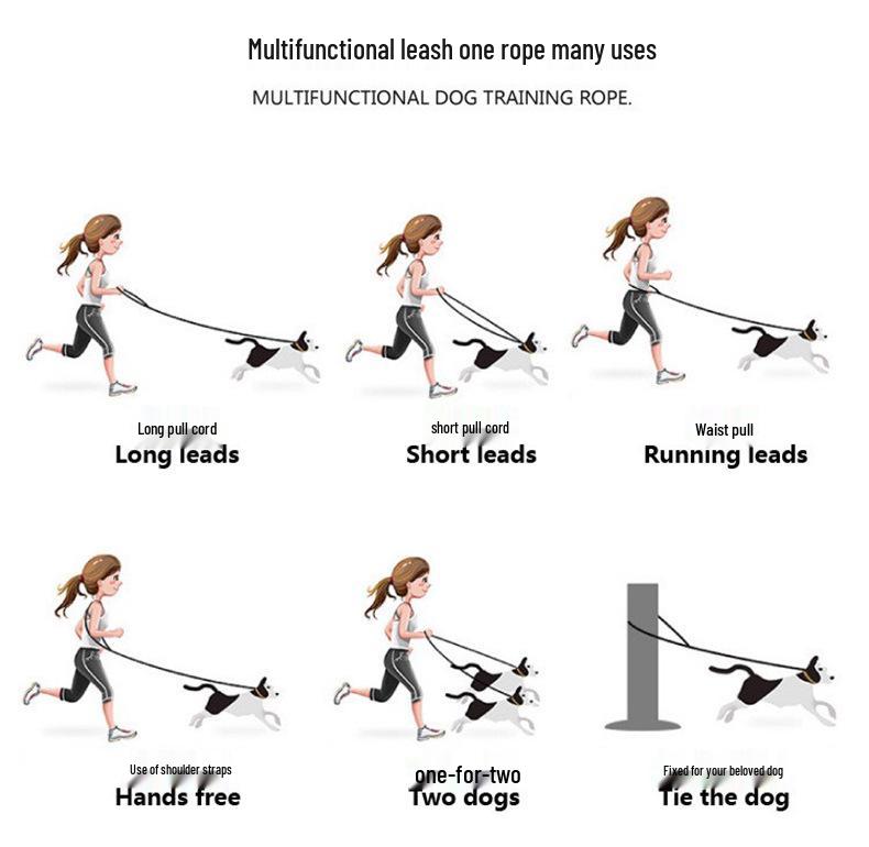 Buntes Hundeleinen- und Halsbandset aus Baumwolle für mittelgroße und große Hunde