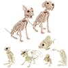 Halloween Cat Skeleton Dog Owl Prop Animal Bones Party Shop Horror Decoration