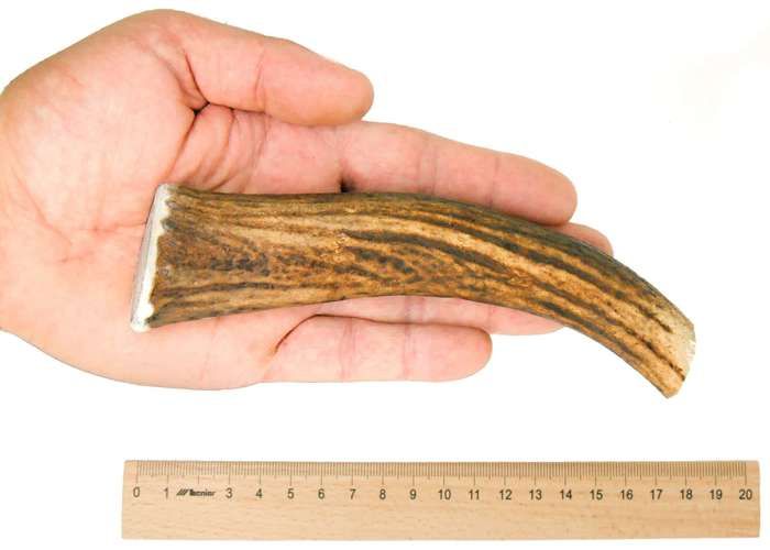 Jouet à mâcher - rf-deer - bois de cerf élaphe xl - 100% naturel - durable - sûr