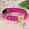 Anti-lost Personalized Dog Collar Waterproof Dogs Buckle Collars Soft Padded ID Necklace for Small Medium Large Dogs 5 Colors