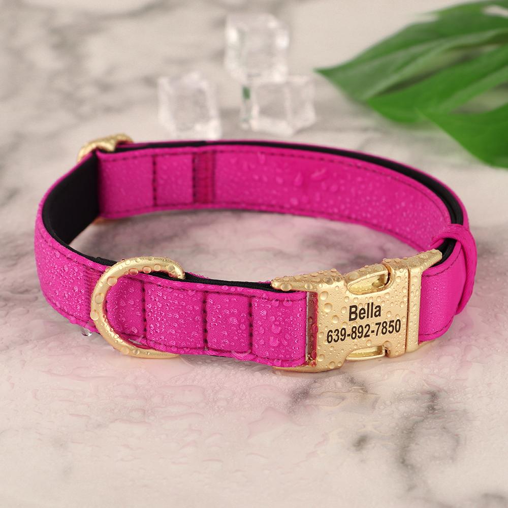 Anti-lost Personalized Dog Collar Waterproof Dogs Buckle Collars Soft Padded ID Necklace for Small Medium Large Dogs 5 Colors