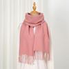 Solid Color Women Imitation Cashmere Winter Warm Scarf Shawls Thick Neckerchief Foulard Echarpe Wrap Designer Unisex Pashmina