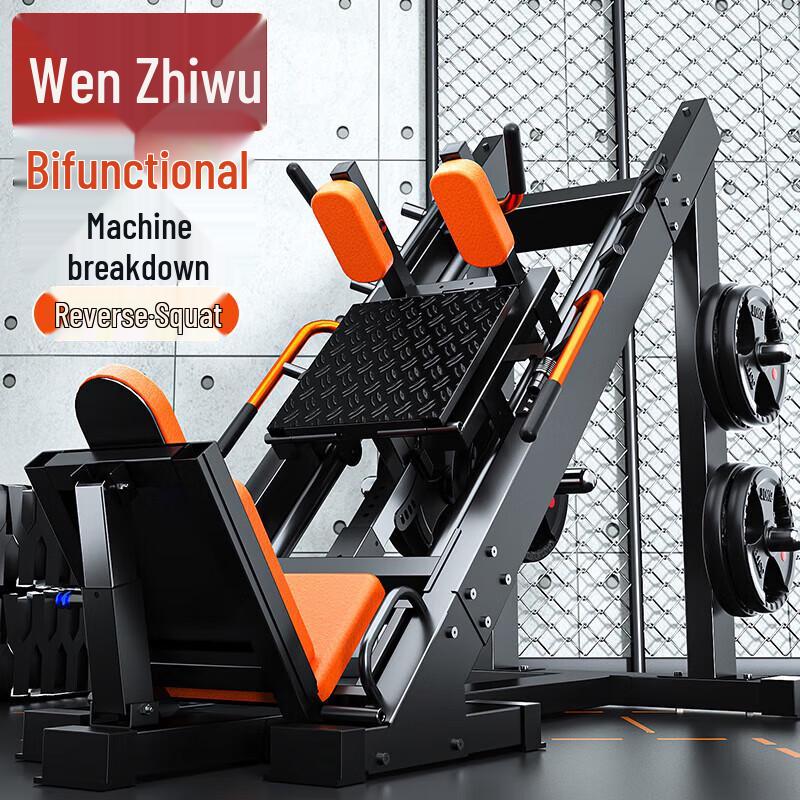 Wen Zhi Wu 45-Degree Leg Press & Hack Squat Machine