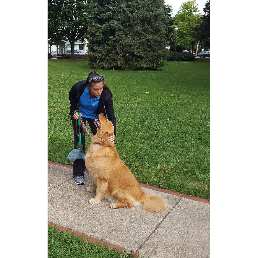 GoGo Stik XP Totally Clean Pooper Scooper. You and Tool Stay Clean. Use Store Bags or Heavy Dootie Bags. Scoop Until Bag Fills. On extreme