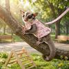 Escape-Proof Ferret Harness Skirt Breathable Hamster Vest Cute Harness Suit  Pet Costume