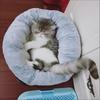 Pet Sleep Blanket Cat and Dag Round Soft Plush Bed