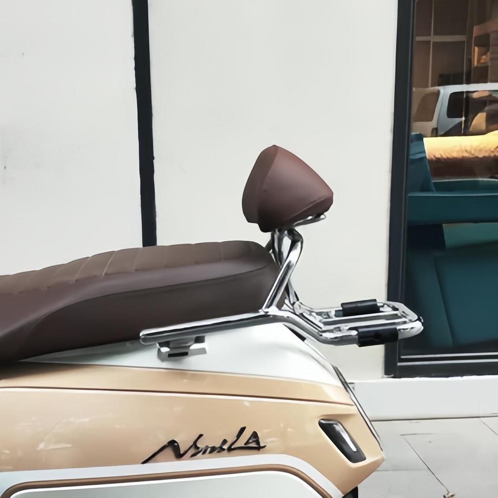 Tianfeishi Retro Backrest for Honda NS125LA, Easy Installation