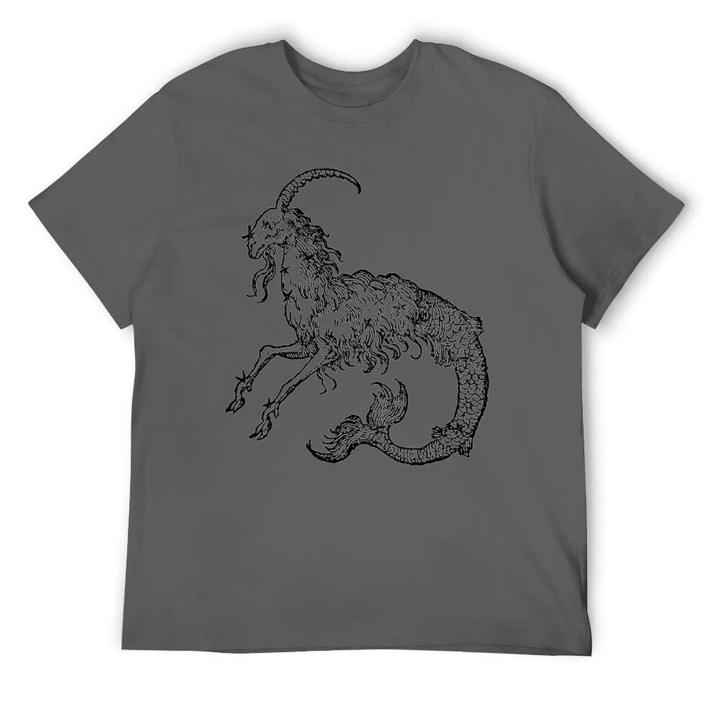 Capricorn Twelve Constellation (4) T-shirt Harajuku Move Tshirt Vintage Home Funny Novelty USA Size