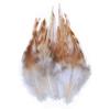 Colored Chicken Feathers 10-15Cm Natural Pheasant Plume For Needlework And Handicrafts Diy Dream Catcher Accessories